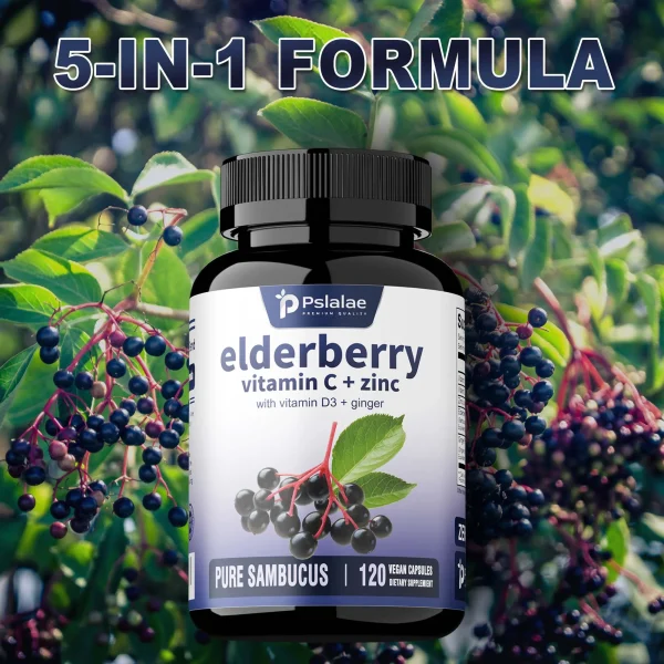Elderberry, Vitamin C + Zinc -